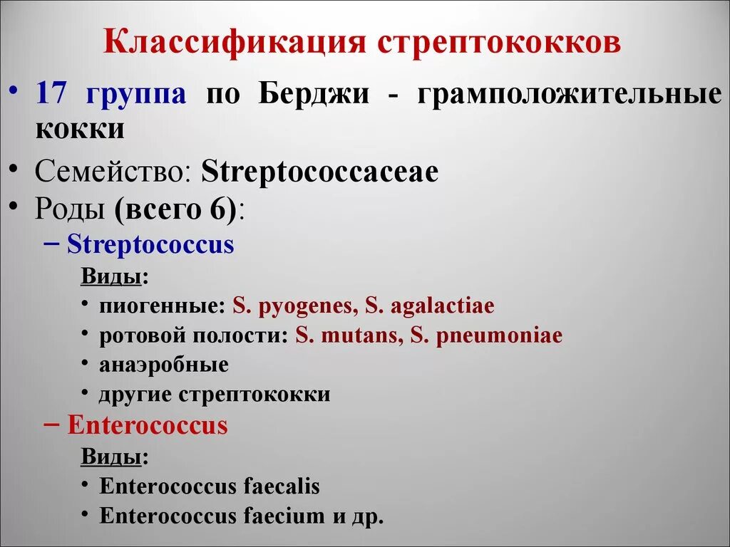 Стрептококки представители. Классификация Берджи стрептококков. Гемолитический стрептококк классификация. Классификация Лендсфилд стрептококков. Классификсация стрептококк.