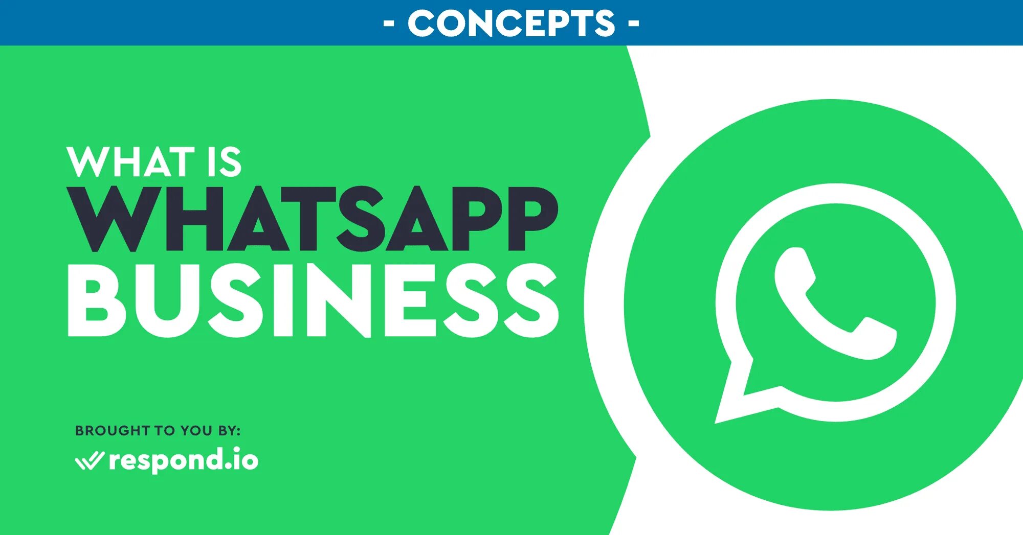 Ватсап бизнес web. Ватсап business. логотип whatsapp business. иконка ватсап бизнес. whatsapp bissnes.