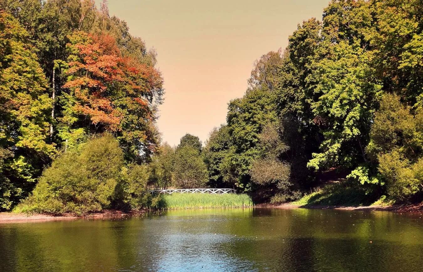 Тургеневский дуб в спасском-лутовиново. Спасская лутовина орловская область природа. Парк таврический сад в санкт-петербурге. Спасское-лутовиново усадьба тургенева осень. Спасское лутовиново парк вид сверху.