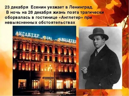 Англетер номер есенина
