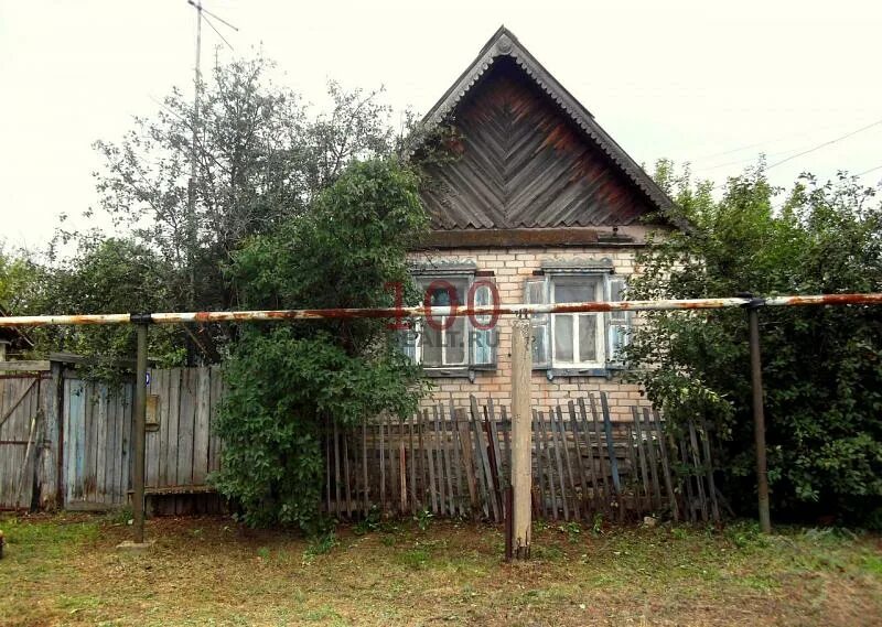 Посёлок калинина волгоградская область. Красный сад среднеахтубинский. Красный сад среднеахтубинский. Красный сад среднеахтубинский. Хутор вязовка среднеахтубинский район ул крестьянская дом 39 /2.