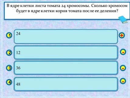 Сколько хромосом в клетках листа