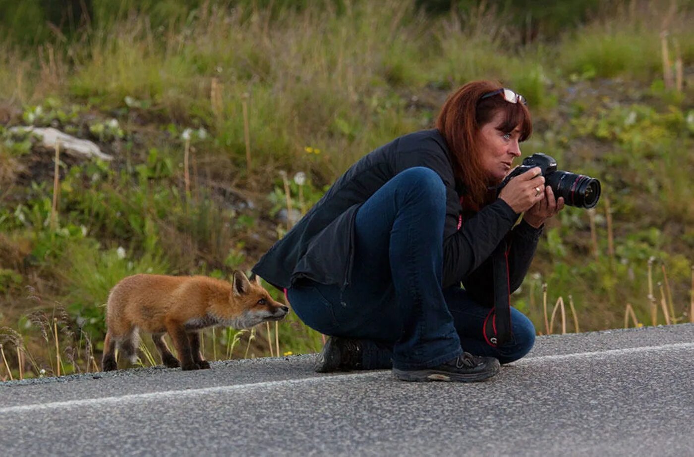 People and wildlife. Забавные ситуации. Люди и животные. Фотограф диких животных. Забавные ситуации с животными.