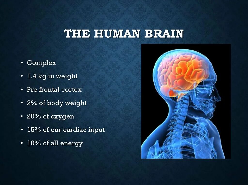 Capability of human brain. Головной мозг презентация. Мозг для презентации. Мозг слайд. Мозг человека для презентации.