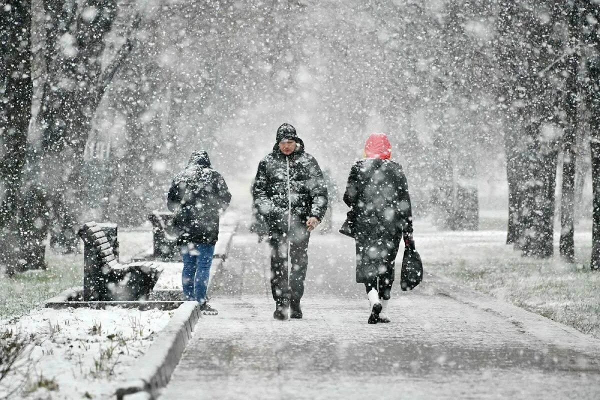 Мокрый снег и ветер. Снегопад в москве. Снежная погода. Снегопад в городе. Снегопад.