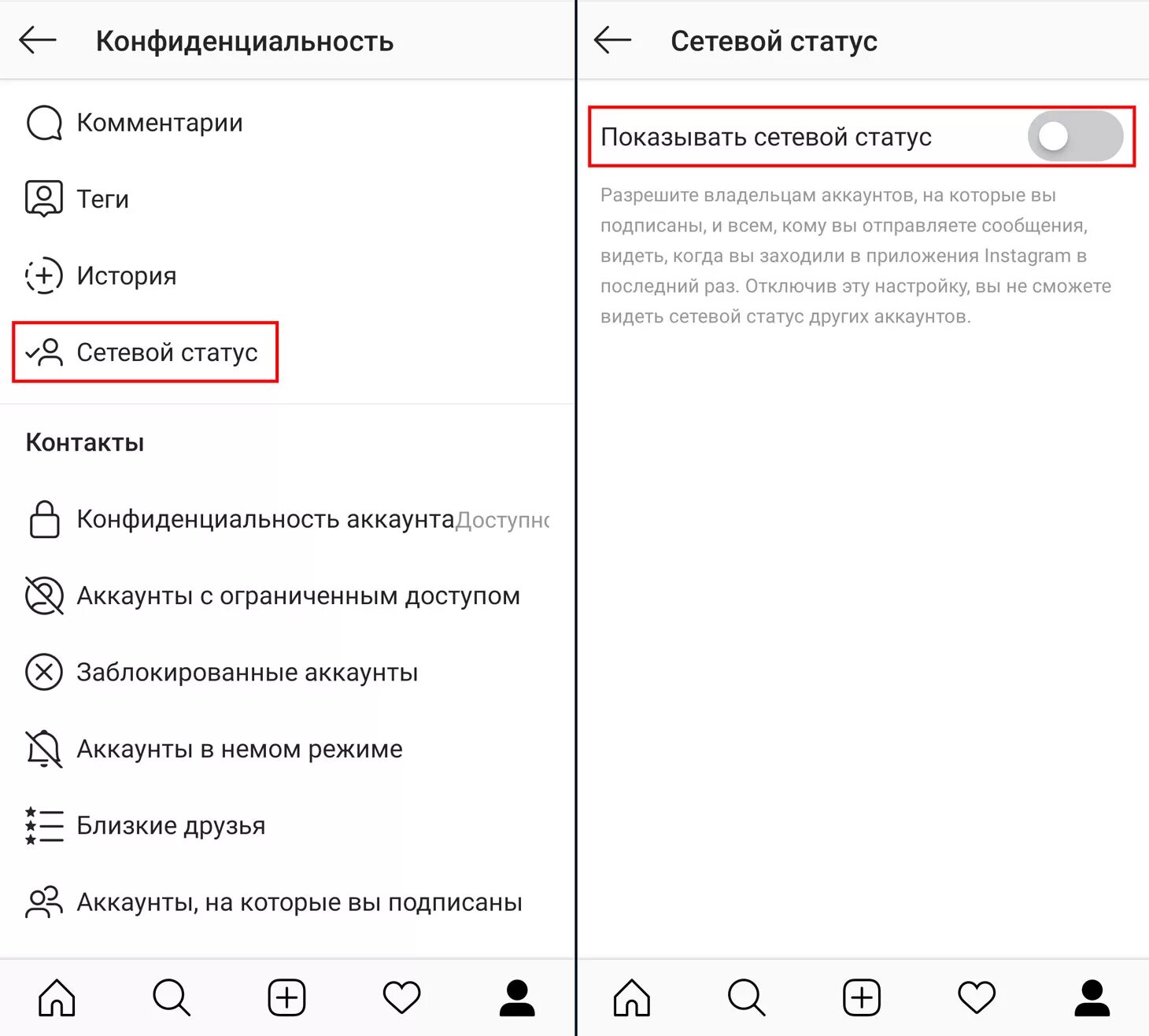 Се Евой Стус в инстограмм. Сетевой статус в инстаграме. Сетевой статус в ВК. Скрытый сетевой статус в инстаграме. Почему не виден статус контактов