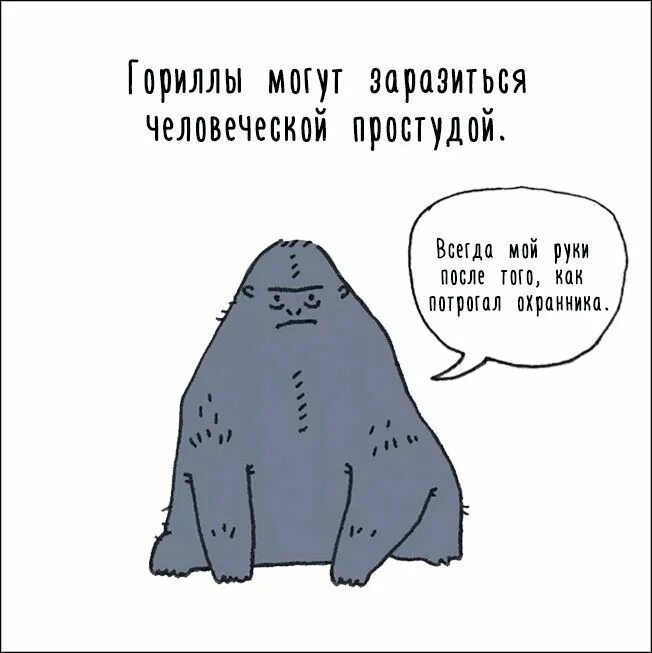 Несуществующие факты. Интересные факты о животных. животный интересный факт. интересны факт оживотных. интересные и смешные факты о животных.