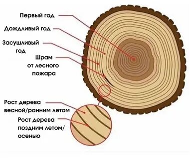 Почему срез