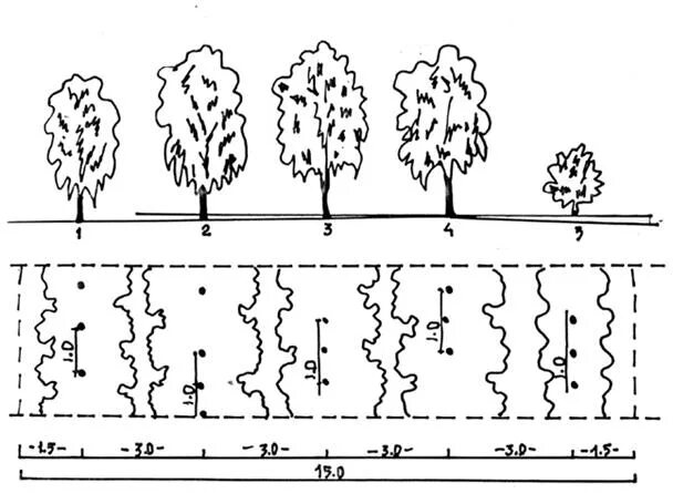 Схема шумо-газо-пылезащитных насаждений. Схема размещения полезащитных лесных полос. Полезащитные Лесные полосы схема. Схема посадки лесополосы.