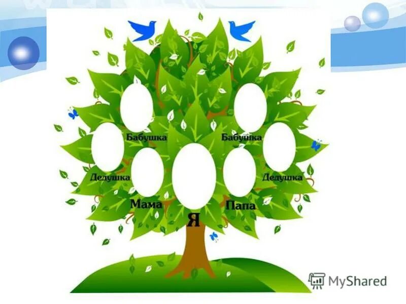 генеалогическое древо 4 класс