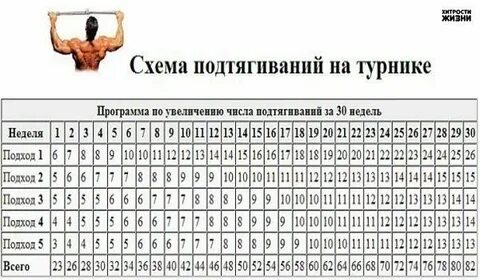 Подтягиваться через день