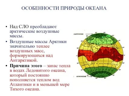 Объясните причину сухости тропических воздушных масс