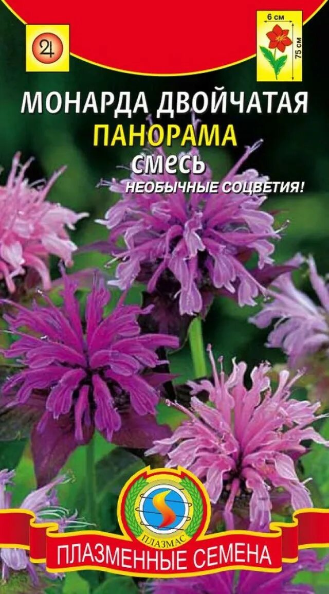 Монарда двойчатая бергамот. Монарда двойчатая панорама ред. Монарда двойчатая семена. Монарда двойчатая бергама. Монарда двойчатая красная многолетняя.