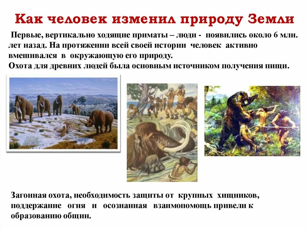 Человек изменил природу. Как люди изменили природу. Как человек изменял природу. Презентация история изменения природы земли человеком. Человек меняет природу природа меняет человека