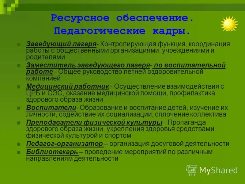 Направления программ в лагере. Программа лагеря дневного пребывания. Программа летнего лагеря для детей. Направление программы лагеря. Направление программы лагеря.