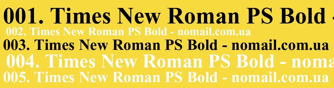 Шрифт roman обычный. Шрифт times New Roman. Times New Roman полужирные буквы.