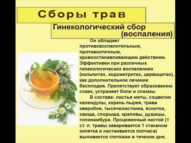 Воспаление у женщин лечение народными средствами. Гинекологический сбор. Травяной сбор гинекологический. Травяной сбор от воспаления придатков. Травяной сбор воспаление в гинекологии.