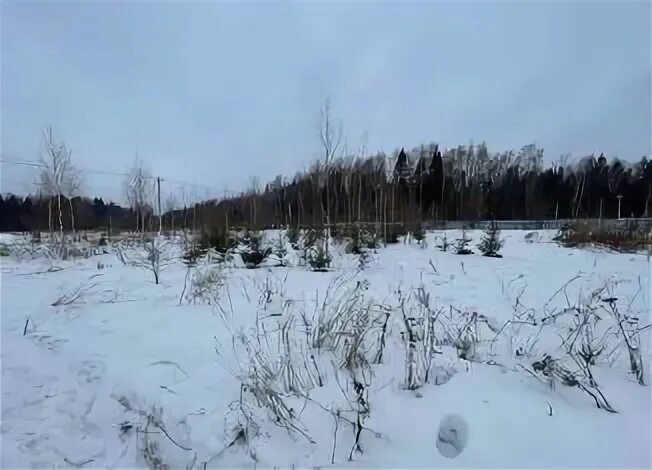 Сотка земли. Икша ассаурово 43. Платформа калистово. Ассаурово храм. Икша ассаурово 43.