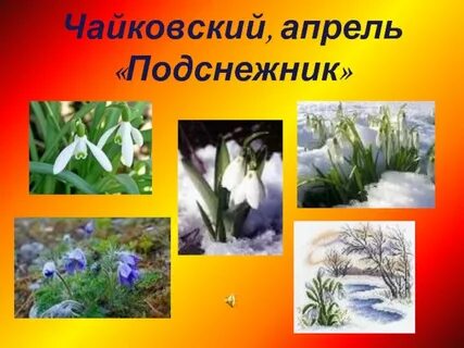 Чайковский апрель подснежник