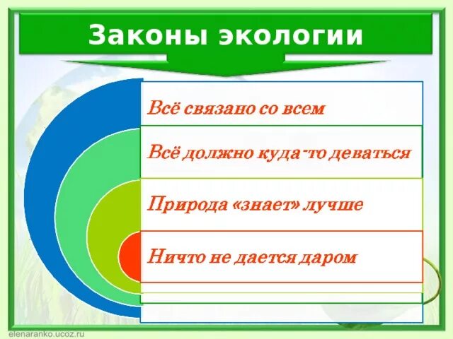 Приведите примеры действия основных законов экологии Сколько основных законов экологии