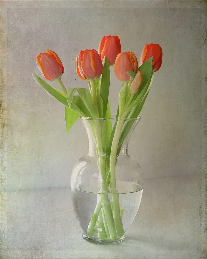 Сколько стоят в вазе тюльпаны с водой. Тюльпаны в вазе. Тюльпаны в вазочке. Красивые тюльпаны в вазе. Ваза с тюльпанами.
