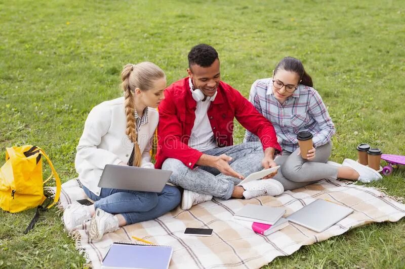 Student park. Студенты учатся в парке. Парк с пледом группы людей. Уроки в парке на пледах. Студенты на лужайке.