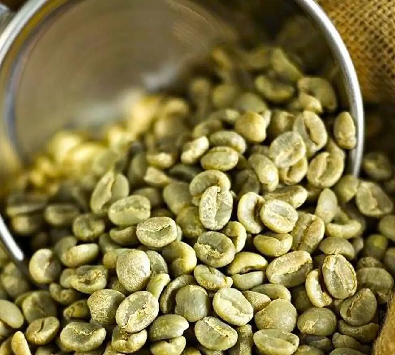 День зеленого кофе. Зеленый кофе. Зеленый кофе в зернах. Кофейные зерна необжаренные. Необжаренный кофе в зернах.