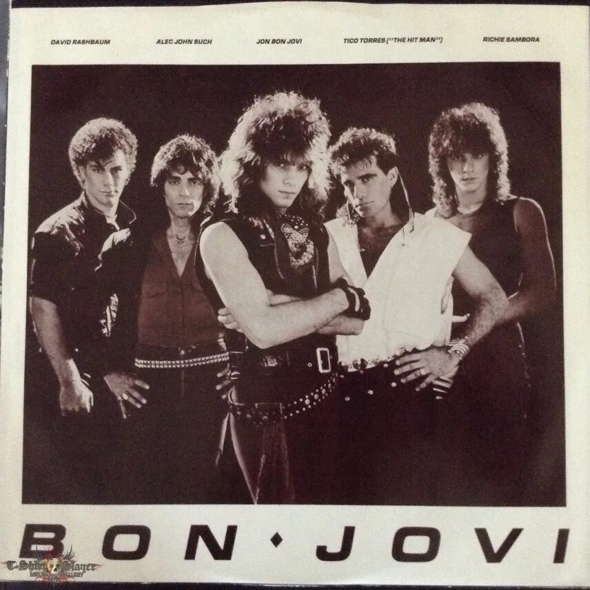 Bon jovi in these arms. Бон джови чипсы. Лейбл mp3 collection. Bon jovi always single 1994. Бон джови 90х.