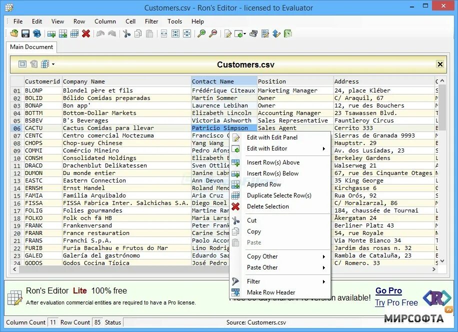 Csv редактор. Rons CSV Editor. CSV Editor Pro русский. Редактор контактов CSV. Windows Ron's Editor.