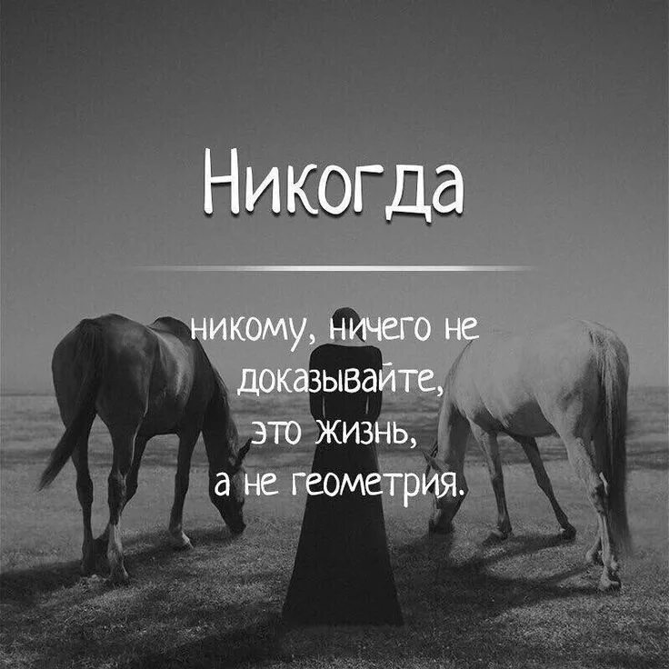 Слова со словом life. Никогда ничего не доказывайте. Никогда ничего не доказывайте людям. Изображения со смыслом. Никому ничего не доказывай цитаты.