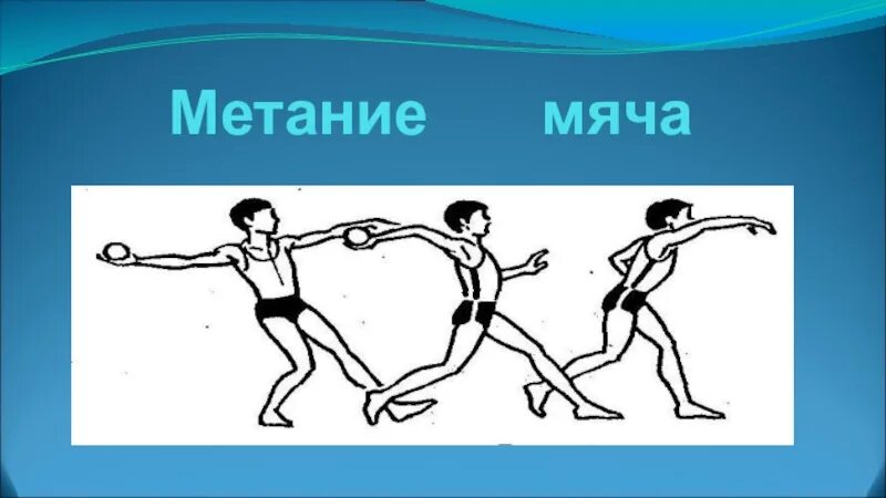 Техника метания малого мяча физра. Метание мяча на дальность. Доклад на тему метание мяча на дальность. Техника метания мяча с места.