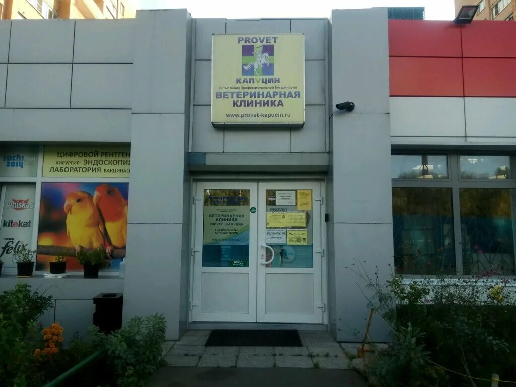 с-вет ветеринарная клиника мытищи. ветклиника мытищи олимпийский. ветеринарная станция мытищи. хатико ветеринарная клиника. ветеринарная клиника мытищи государственная.