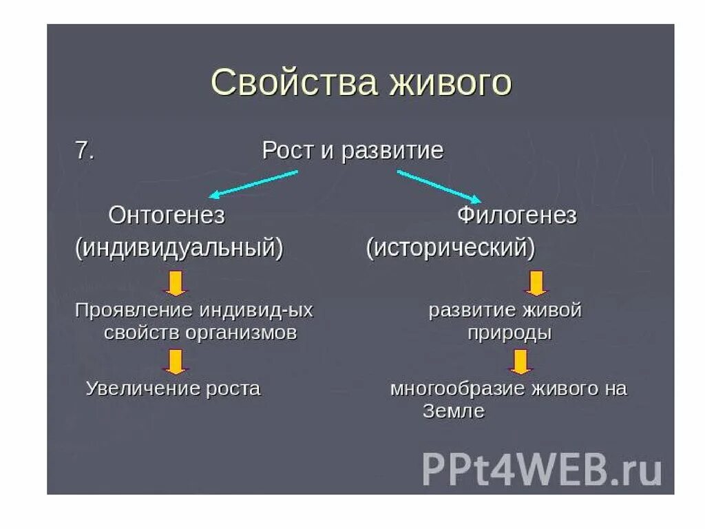 Типы филэмбриогенеза. Теория филэмбриогенеза. Филэмбриогенез примеры. Анаболия девиация архаллаксис.