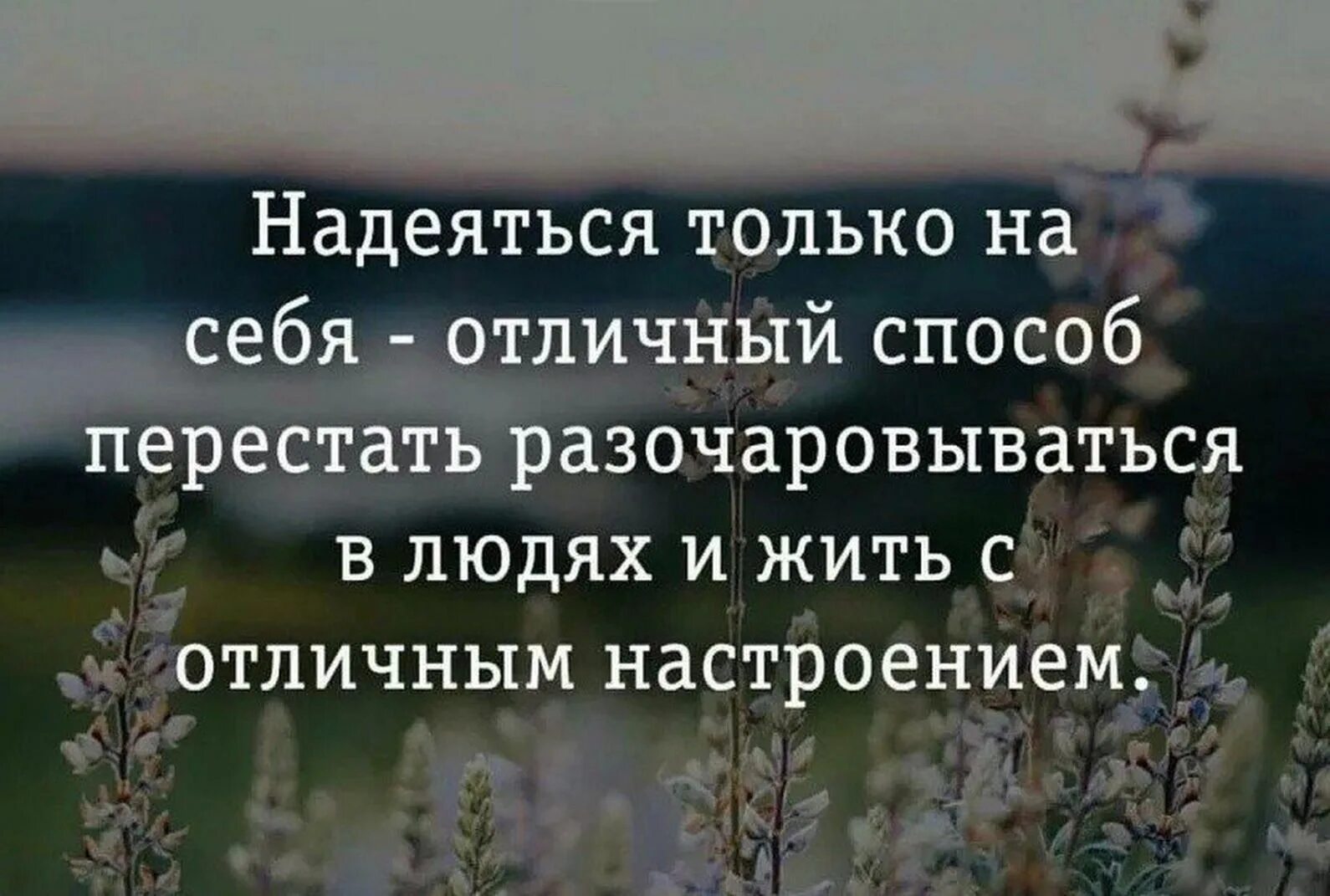 Как пережить разочарование. Надейся только на себя цитаты. Статус надеяться только на себя. Надеяться только на себя. Надеяться на себя Отличный способ перестать разочаровываться в людях.