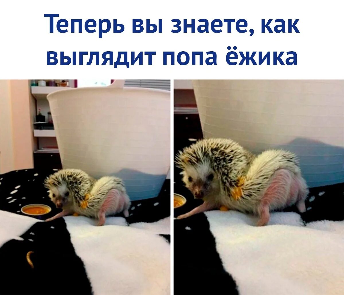 Необычные реальные фотографии. Еще не такое покажется. Веселые картинки. Interesting moments. Еще не такое покажется.