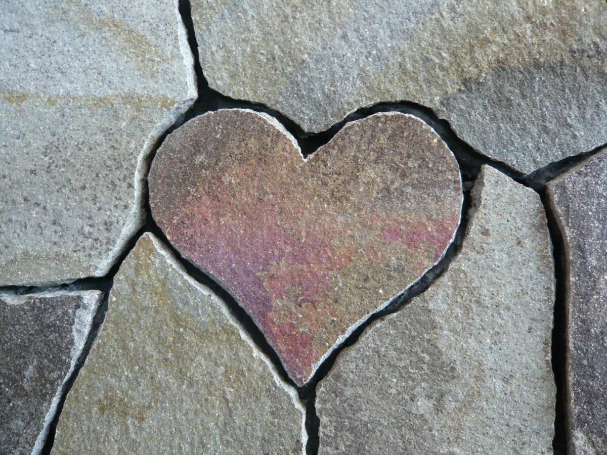 Hamixshax heart of stone