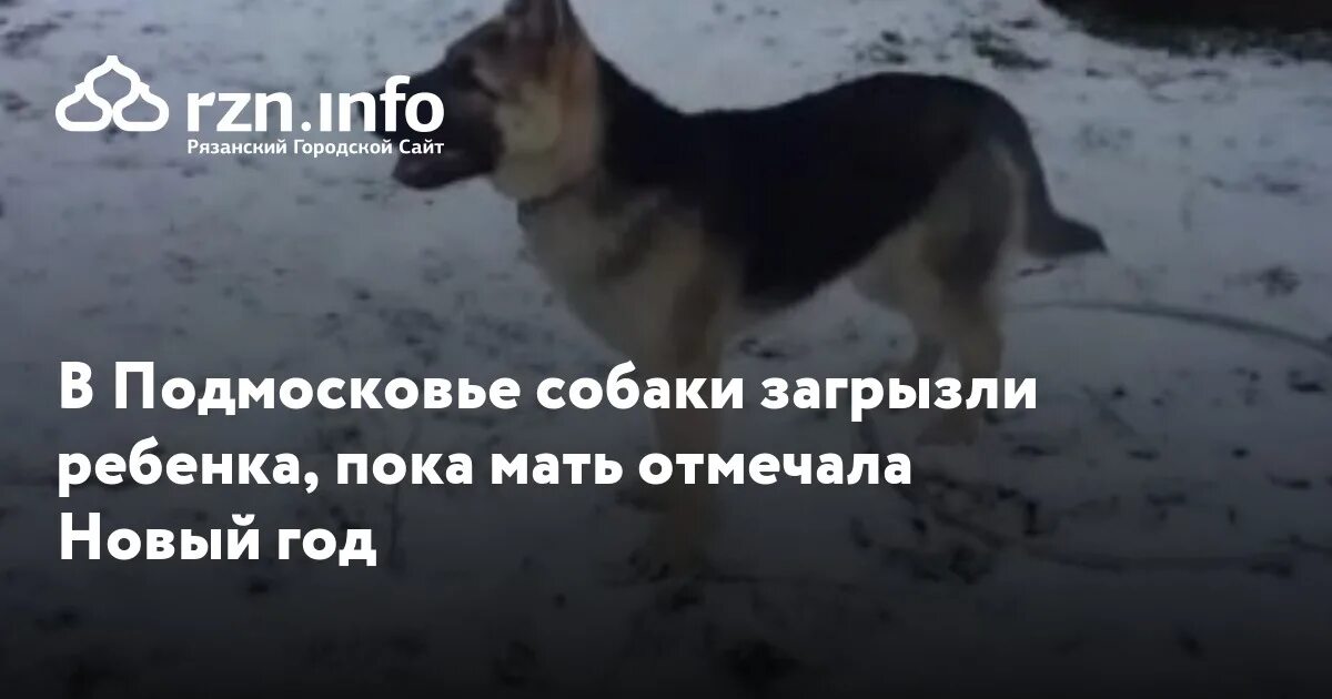 Собака загрызла 6 летнюю девочку