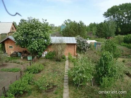 Погода в ростовке омская область