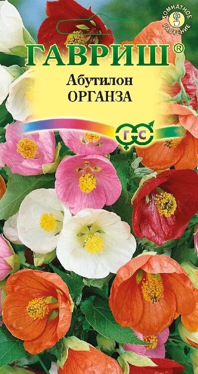 Абутилона гибридный семена 10 шт AliExpress