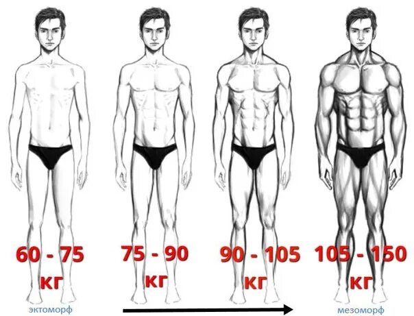 Средняя масса мужчины. Эктоморф 190 рост вес 90. Эктоморф 80 кг. Эктоморф 175 рост. Эктоморф 90 кг.