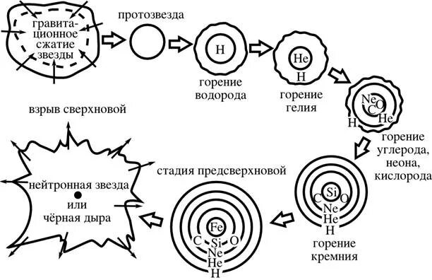 Жизненный цикл звезды схема. Жизненный цикл звезд схема астрономия. Цикл эволюции звезд. Этапы жизненного цикла звезды.