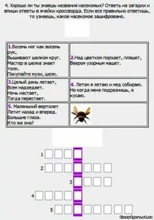 Кроссворд биология членистоногие 7 класс