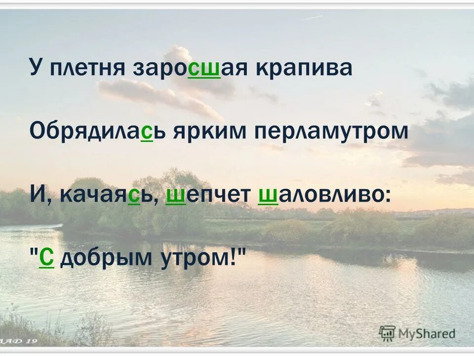 стихи есенина с добрым утром текст. религиозные мотивы в ранней лирике есенина. обрядилась ярким перламутром и качаясь. у плотная заросшая крапива. у плетня заросшая крапива обрядилась ярким.