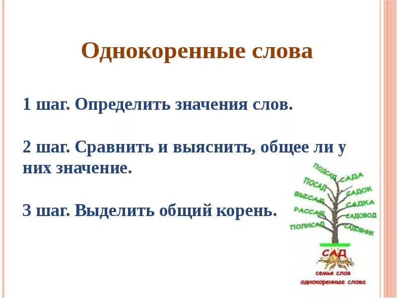 Выдели общий корень. Однокоренные слова. Однокоренные слова к слову. Однокоренные слова схема. Однокоренные слова примеры.