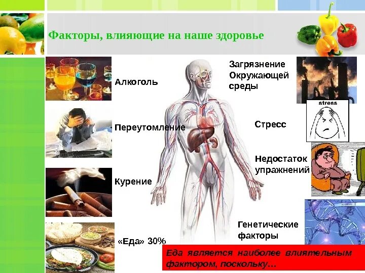 Факторы вредного питания. Факторы отрицательно влияющие на здоровье человека. Факторы негативно влияющие на здоровье. Негативные факторы влияющие на организм человека. Негативные факторы влияющие на здоровье.