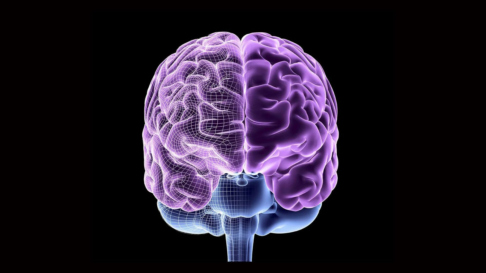Brain start