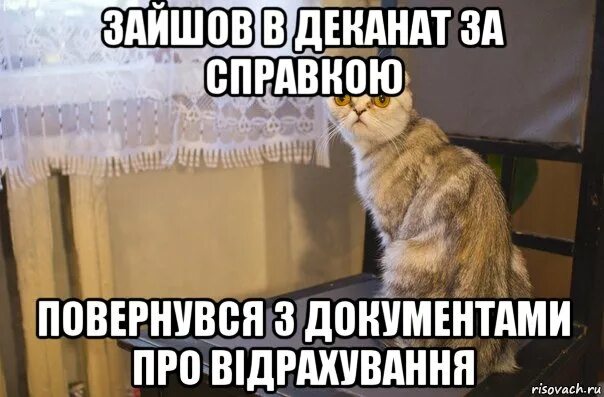 Вызывают в деканат. Деканат картинки. Вызывают в деканат. Приколы про деканат. Вызывают в деканат.