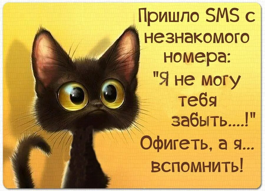 Веселые открытки для поднятия. Открытки для поднятия настроения с приколом. позитивные рисунки для поднятия настроения. веселые статусы для настроения. афоризмы для поднятия настроения.