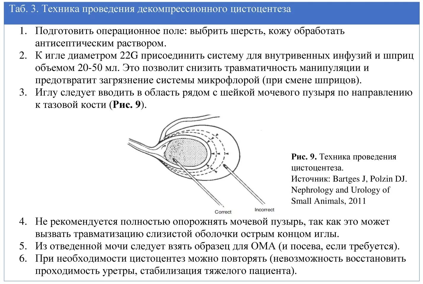 Пункция мочевого пузыря собаки. Цистоцентез собака техника. Цистоцентез кошке методика. Операция мочевой пузырь собака