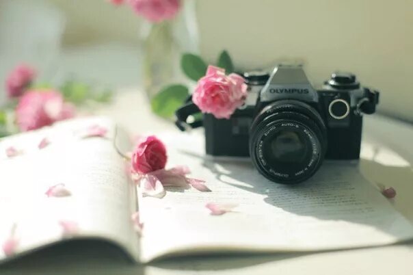 Фотоаппарат. Фотограф с фотоаппаратом. Розы и фотоаппарат. Фотоаппарат и цветы. Камера в цветах.